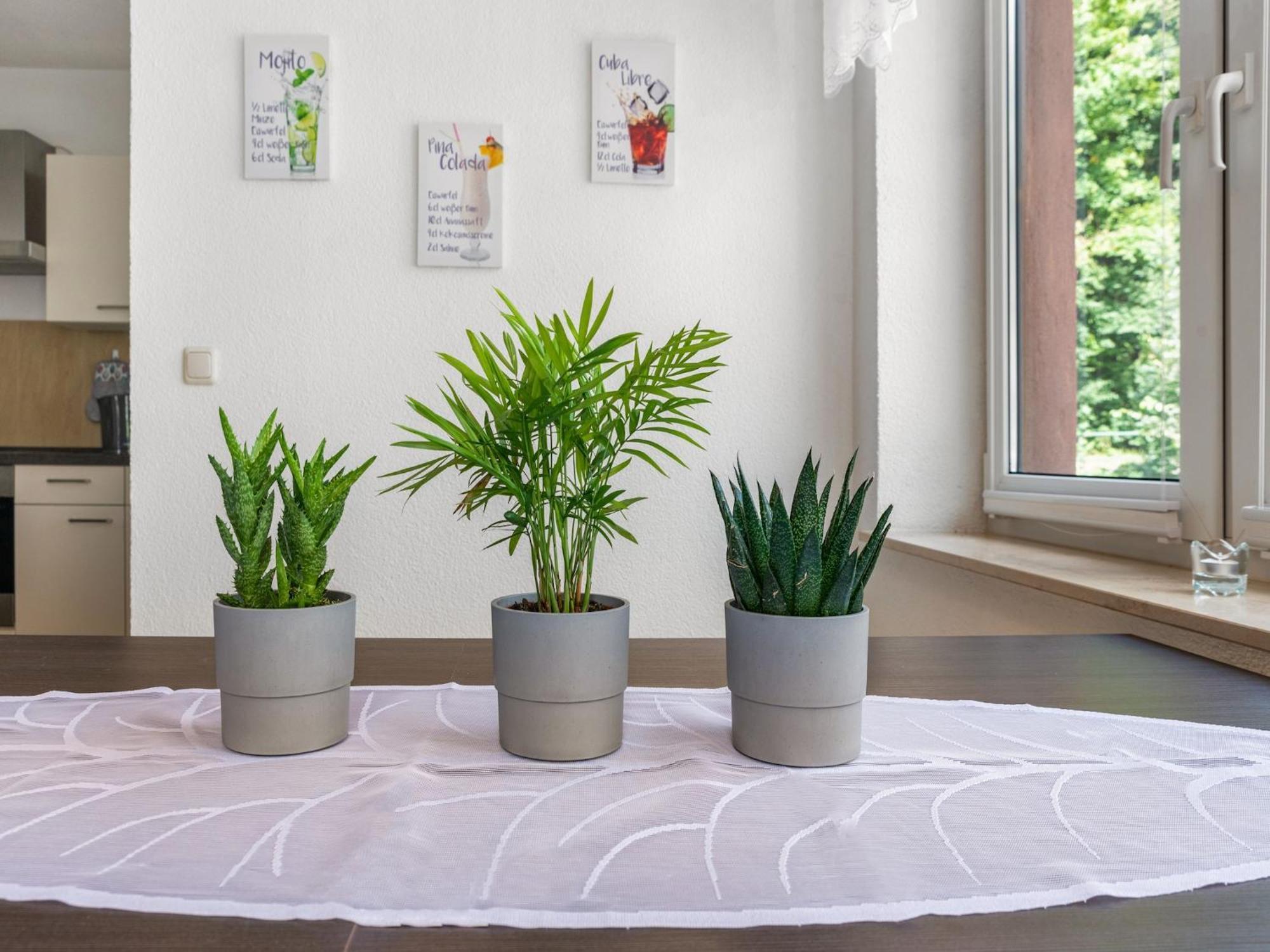 Modern Apartment In Sebnitz With A Terrace In Sebnitz Bagian luar foto